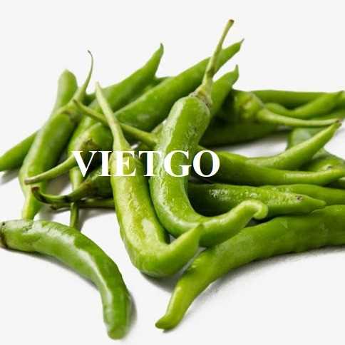 Cơ hội xuất khẩu ớt xanh đến thị trường Ấn Độ