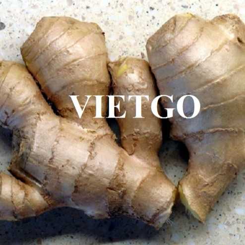 Cơ hội hợp tác xuất khẩu gừng tươi đến thị trường Bangladesh