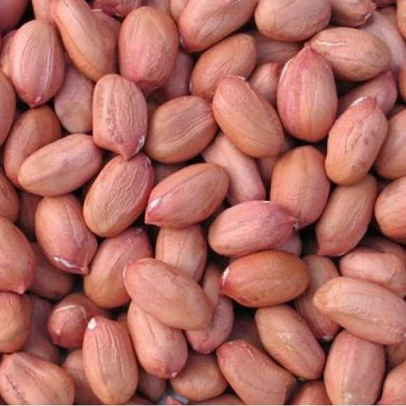 i'm looking for Peanut supliers