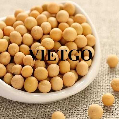 Thương vụ xuất khẩu đậu nành sang thị trường Colombia