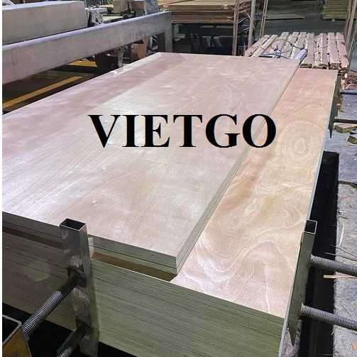 Thương vụ xuất khẩu gỗ dán sang thị trường Ấn Độ