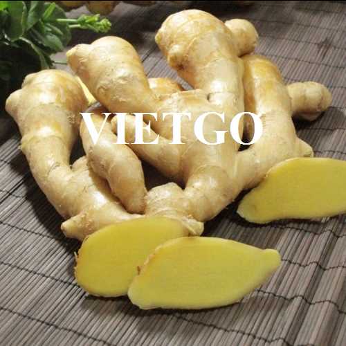 Thương vụ xuất khẩu gừng sang thị trường UAE
