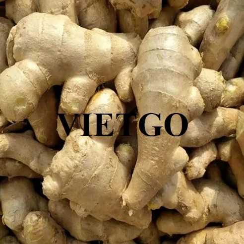 Cơ hội xuất khẩu sản phẩm gừng đến thị trường Ấn Độ