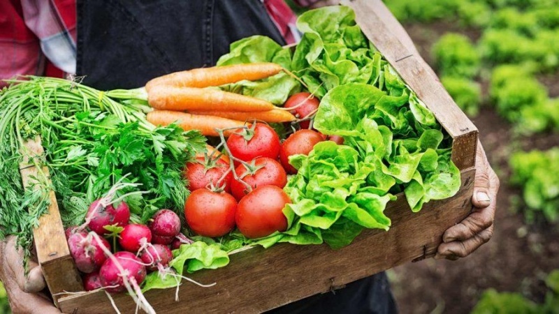 Cần tìm đơn vị vận tải vận chuyển mặt hàng nông sản, may mặc, than mùn cưa sang Oman