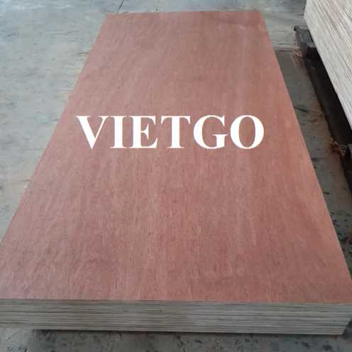 Thương vụ xuất khẩu gỗ dán bao bì sang thị trường Ấn Độ