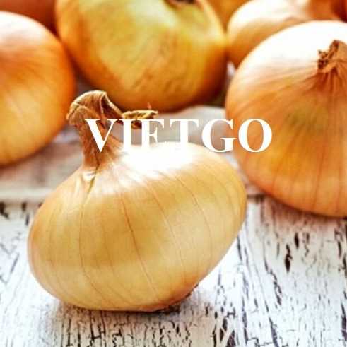 Cơ hội xuất khẩu hành tây sang thị trường Ba Lan