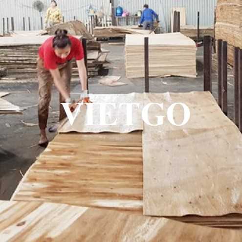 Thương vụ xuất khẩu ván bóc gỗ keo sang thị trường Ấn Độ