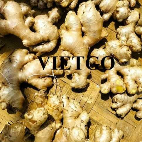 Cơ hội hợp tác xuất khẩu gừng sang thị trường Indonesia