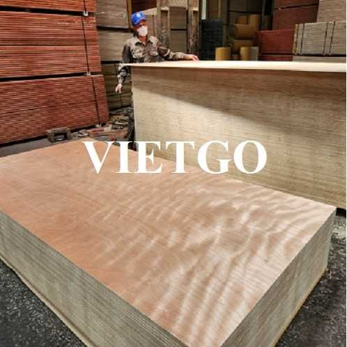 Thương vụ xuất khẩu gỗ dán sang thị trường Ấn Độ
