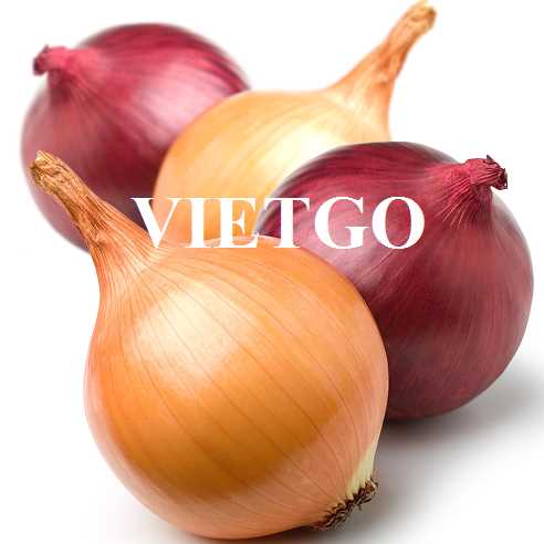 Cơ hội hợp tác xuất khẩu hành tím và hành tây đến thị trường Oman