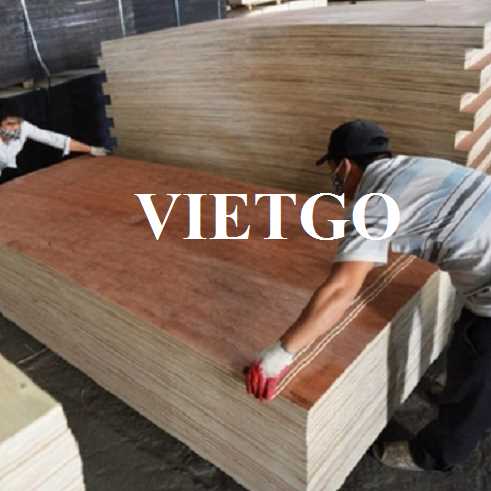 Thương vụ xuất khẩu gỗ dán sang thị trường Ấn Độ