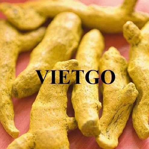 Cơ hội xuất khẩu nghệ khô sang thị trường Ấn Độ