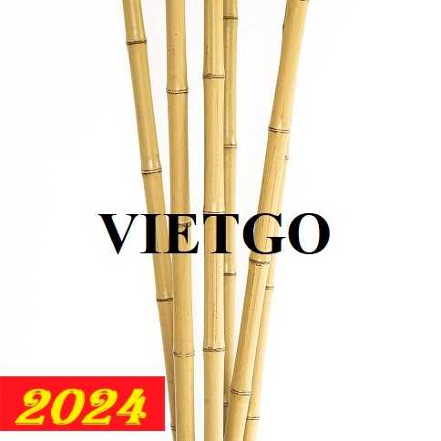 Cơ hội xuất khẩu gậy tre sang thị trường Ả Rập Xê Út