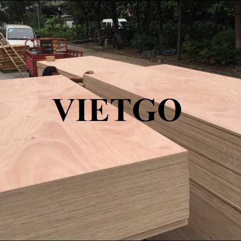 Thương vụ xuất khẩu gỗ dán sang thị trường Ấn Độ