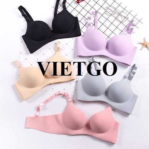 Cơ hội xuất khẩu áo lót nữ sang thị trường Georgia