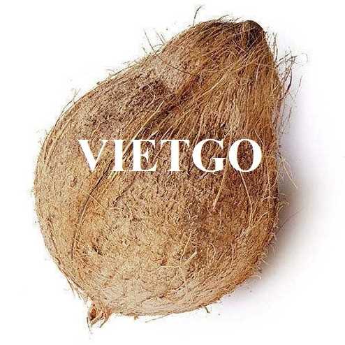 Thương vụ hợp tác xuất khẩu dừa khô lột vỏ sang thị trường Indonesia