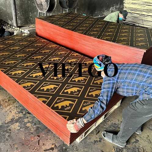 Thương vụ xuất khẩu gỗ dán phủ phim sang thị trường Ấn Độ