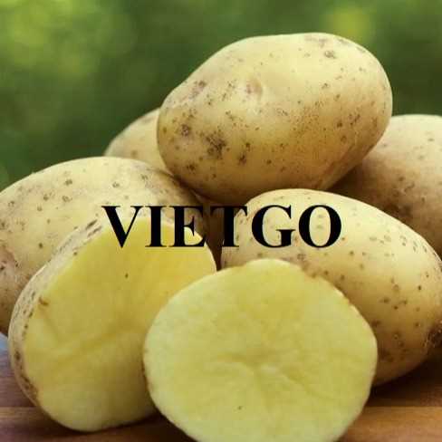 Cơ hội hợp tác xuất khẩu khoai tây sang thị trường Israel