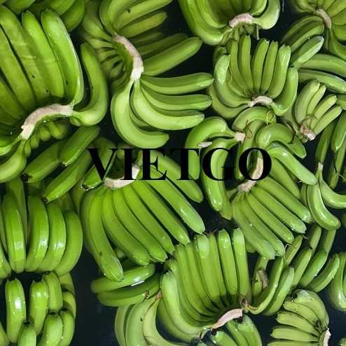 Cơ hội hợp tác xuất khẩu chuối xanh đến thị trường UAE