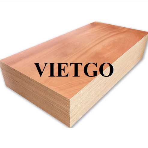 Thương vụ xuất khẩu gỗ dán sang thị trường Ấn Độ