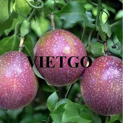 Cơ hội xuất khẩu chanh leo đến thị trường UAE