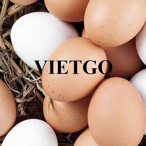 Cơ hội xuất khẩu trứng sang thị trường Trung Quốc