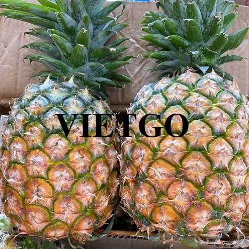 Cơ hội hợp tác xuất khẩu dứa đến thị trường UAE