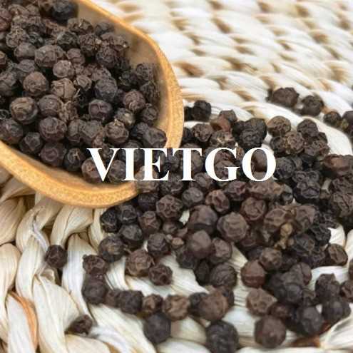Cơ hội xuất khẩu hạt tiêu sang thị trường Tây Ban Nha