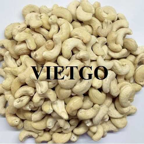Cơ hội xuất khẩu hạt điều sang thị trường Tây Ban Nha