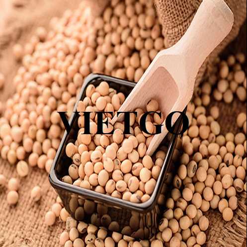 Cơ hội hợp tác xuất khẩu đậu nành sang thị trường Oman