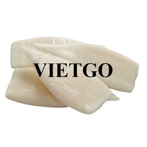 Cơ hội xuất khẩu bạch tuộc và mực sang thị trường Panama