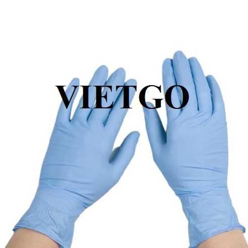 Cơ hội xuất khẩu găng tay cao su sang thị trường Canada 