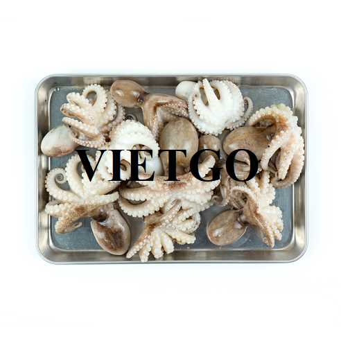 Cơ hội xuất khẩu mực và bạch tuộc sang thị trường Hồng Kông