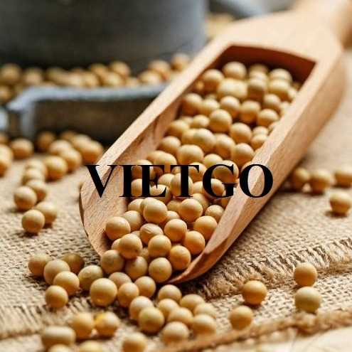 Thương vụ xuất khẩu đậu nành đến thị trường Ai Cập