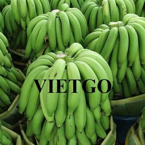 Thương vụ xuất khẩu chuối đến thị trường Iraq