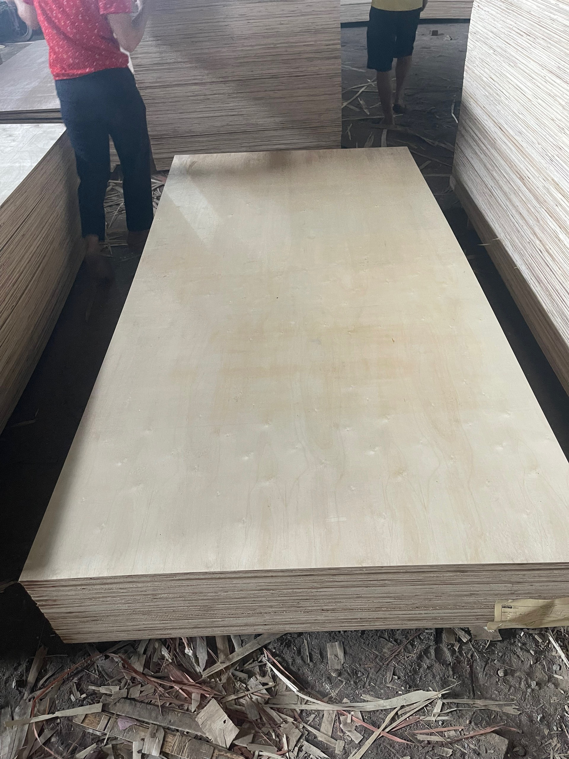Cần tìm cước biển cho hàng gỗ dán đi Ấn Độ