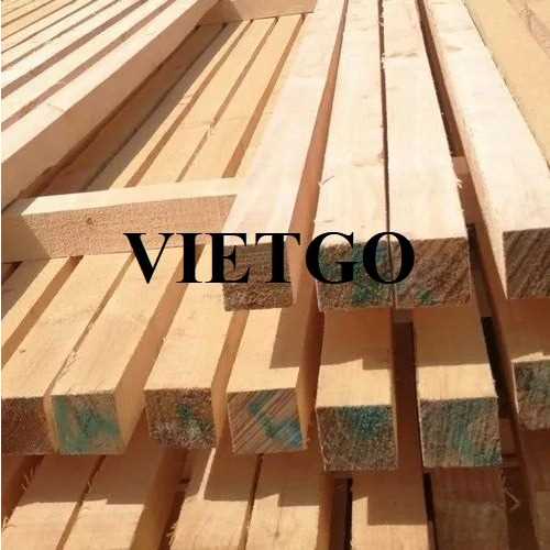 Thương vụ xuất khẩu gỗ thông xẻ sang thị trường Thổ Nhĩ Kỳ