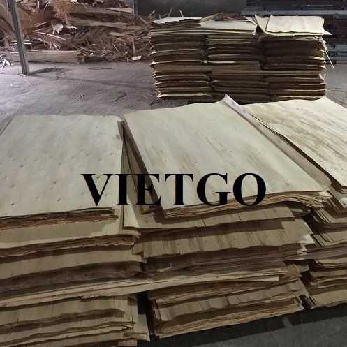 Thương vụ xuất khẩu sản phẩm ván bóc sang thị trường Ấn Độ