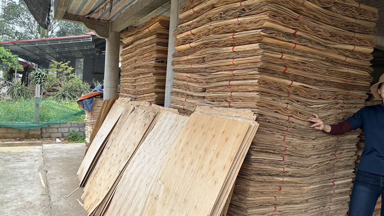 Cần  tìm FWD báo giá cước vận tải hàng ván bóc từ Lạng Sơn đi Ấn Độ