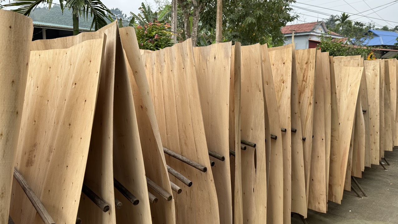 Cần tìm FWD báo giá cước vận tải hàng ván bóc từ Lạng Sơn đi Kochi, Ấn Độ