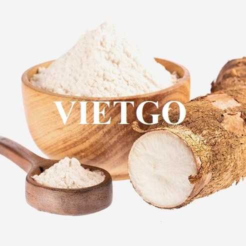 Cơ hội hợp tác xuất khẩu tinh bột sắn sang thị trường Georgia