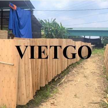 Thương vụ xuất khẩu sản phẩm ván bóc đến thị trường Ấn Độ