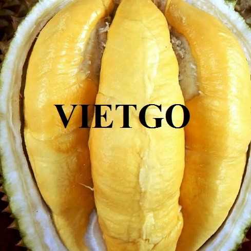 Cơ hội xuất khẩu sầu riêng sang thị trường Trung Quốc