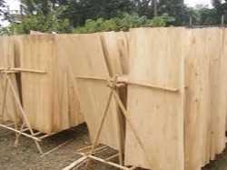 Cần tìm fwd  vận chuyển  hàng ván bóc từ Bắc Giang đến cảng Mundra Ấn Độ
