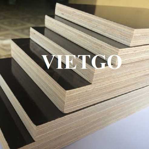 Thương vụ xuất khẩu gỗ dán phủ phim sang thị trường Ấn Độ