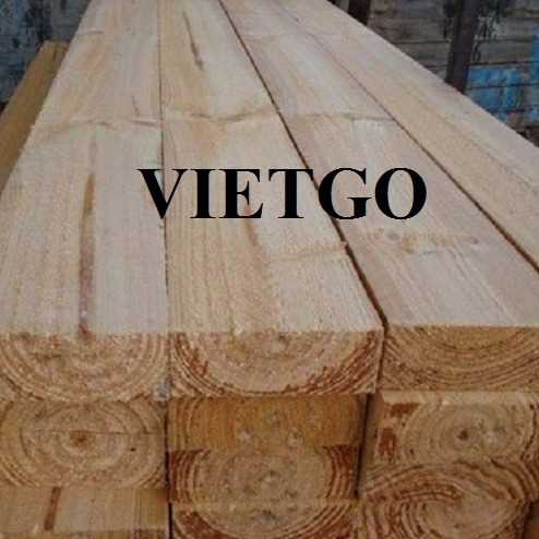 Thương vụ xuất khẩu gỗ thông xẻ sang thị trường Maroc