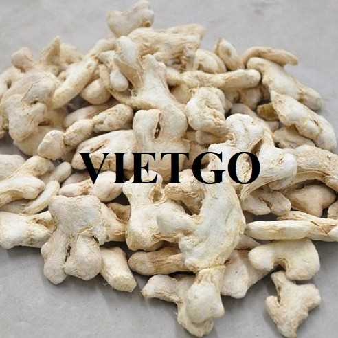 Cơ hội hợp tác xuất khẩu gừng khô sang thị trường Ấn Độ