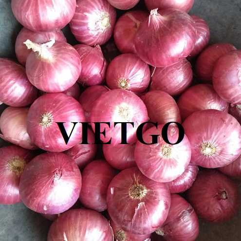 Cơ hội hợp tác xuất khẩu hành tím đến thị trường Singapore