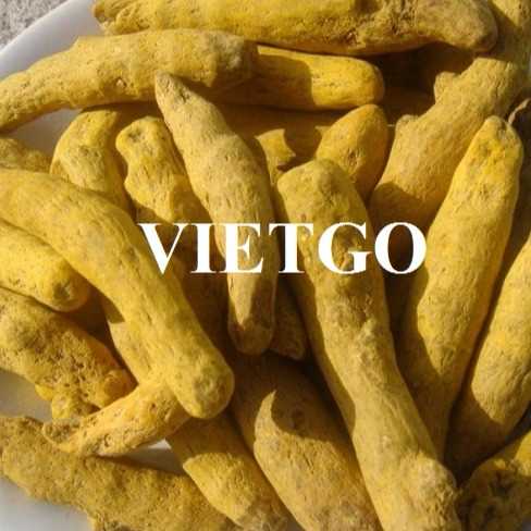 Cơ hội xuất khẩu nghệ khô sang thị trường Ấn Độ