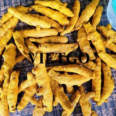 Cơ hội xuất khẩu nghệ khô đến thị trường Afghanistan